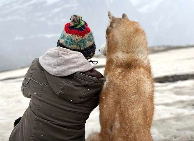 After winning hearts at IFFI 2025, Oslo: A Tail of Promise’s emotional teaser unveiled; watch : Bollywood News - Bollywood Hungama