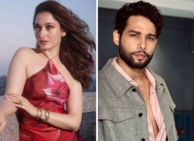 EXCLUSIVE: Tamannaah Bhatia signs Siddhant Chaturvedi-starrer Chitrapati V Shantaram : Bollywood News - Bollywood Hungama