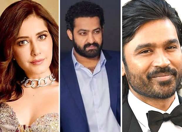 Raashii Khanna gets candid on working with Jr NTR, Dhanush and other south actors: “They taught me everything” : Bollywood News - Bollywood Hungama