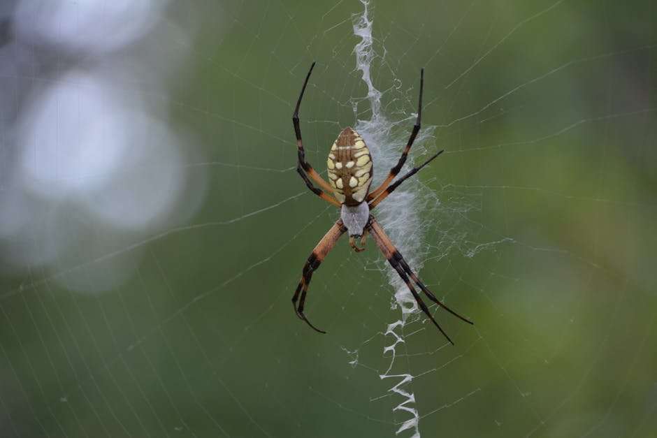 Best Web Series of 2024: Your Ultimate Binge-Watching Guide