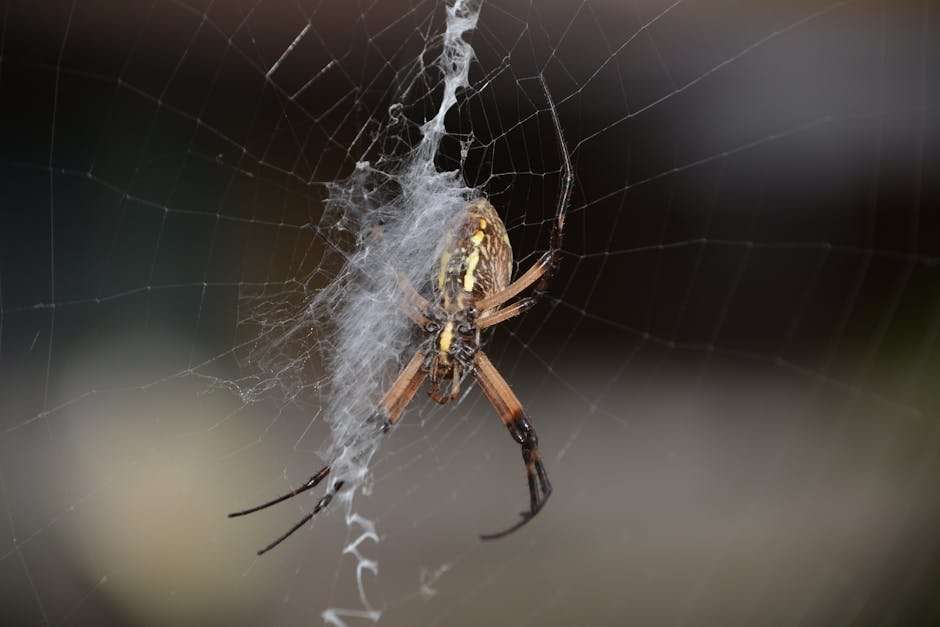 The Future of Web Series: Trends and Predictions for 2025