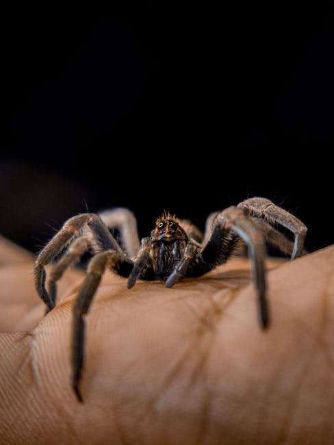 Web Series Marketing: How to Promote Your Show Online