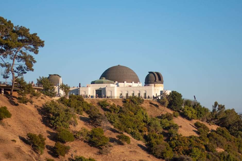 Best New Web Series to Binge-Watch This Weekend