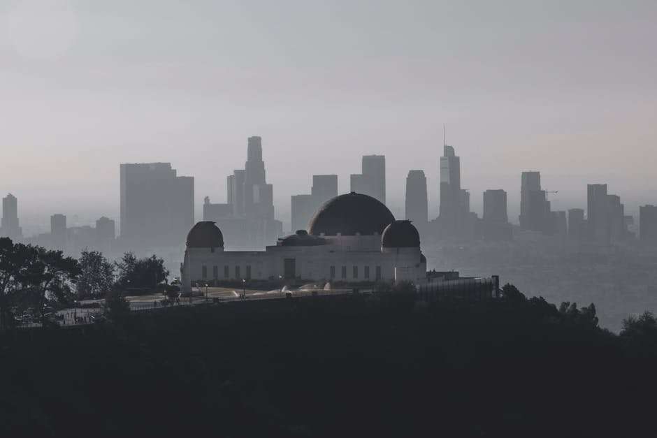 Binge-Worthy Netflix Web Series: What to Watch This Weekend