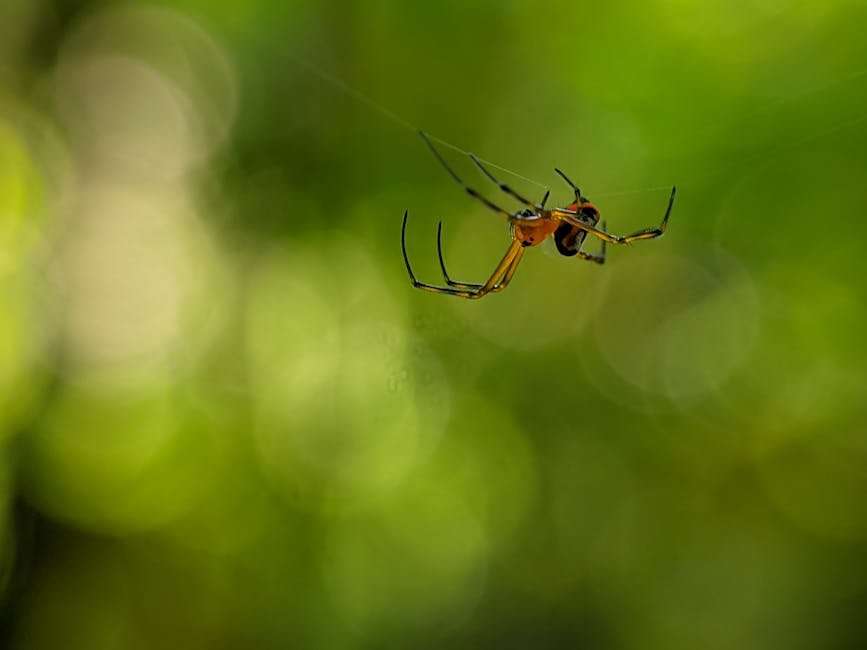 Netflix Chinese Web Series: Your Ultimate Binge-Watching Guide