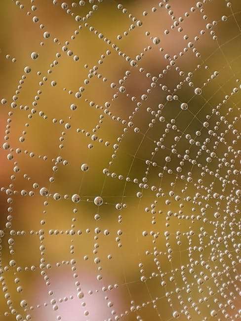 Hollywood Adventure Web Series: A Must-Watch for Aspiring Stars