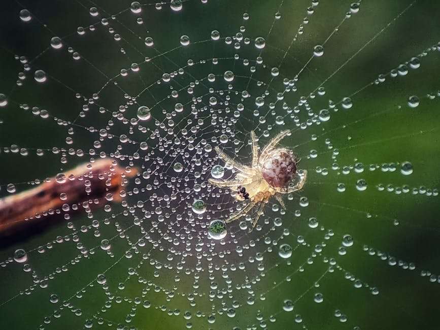 New Korean Web Series: The Ultimate 2024 Watchlist