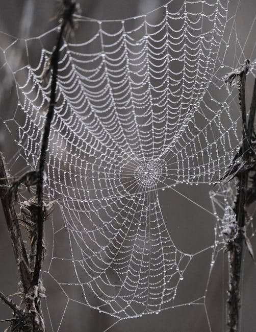 Top Hindi Web Series to Binge-Watch Now [Year]