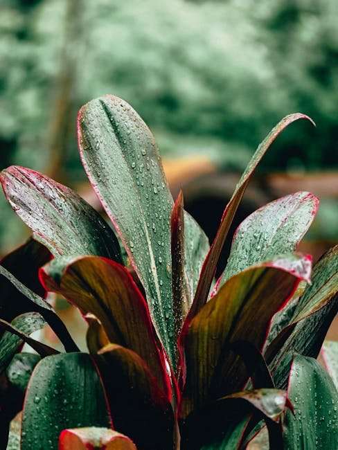 Best Korean Web Series to Binge-Watch Right Now