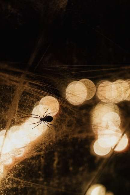 Must-Watch Korean Web Series: Explore the Dark Side of Korean Horror