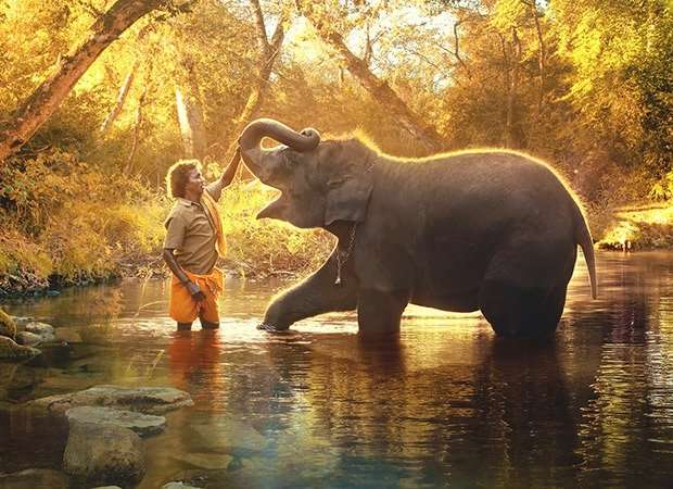 From Real Life to Global Screens: Netflix originals that shaped a decade of storytelling in India : Bollywood News - Bollywood Hungama