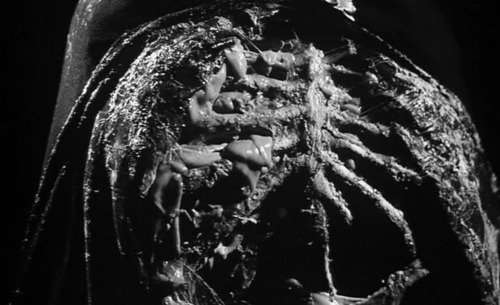 black sunday mario bava