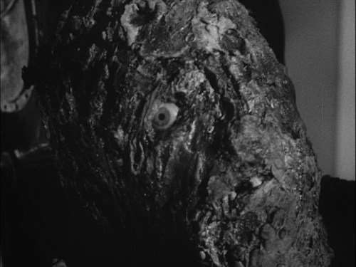 FIRST_MAN_INTO_SPACE-4(1)