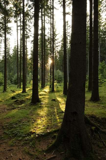 Must-See Web Series List: Discover Your Next Obsession