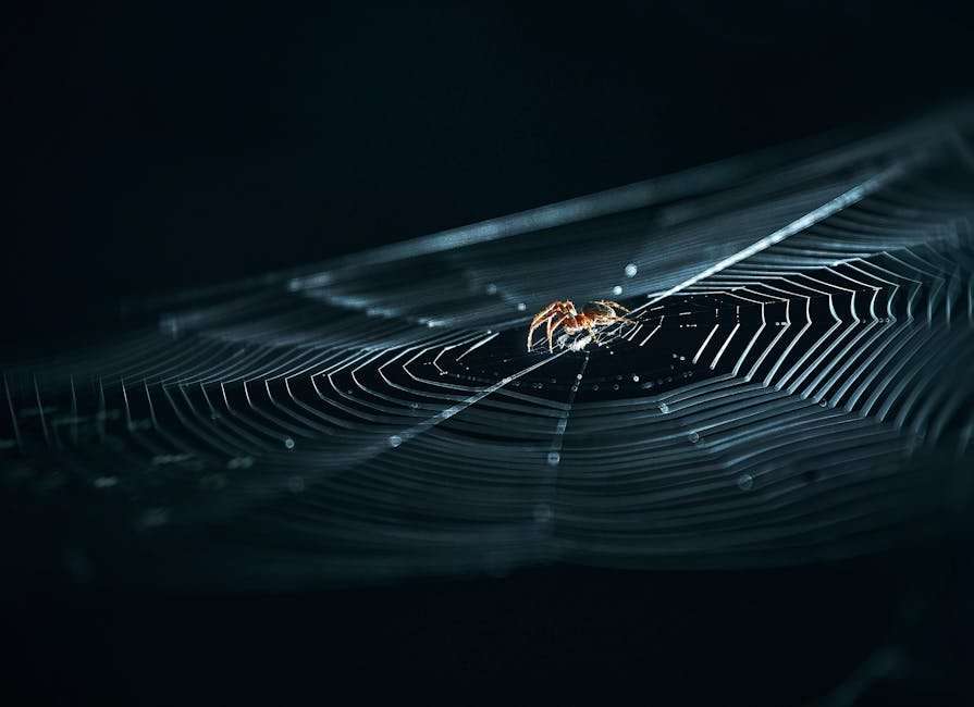 Hollywood Adventure Web Series: A Fresh Take on Hollywood Dreams