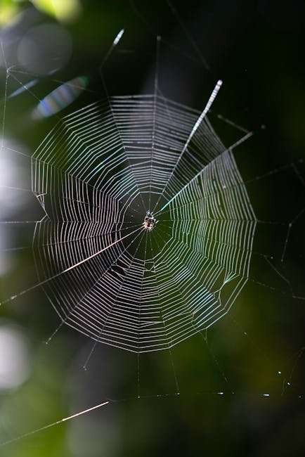 The Most Intense Zombie Battles in Korean Web Series History