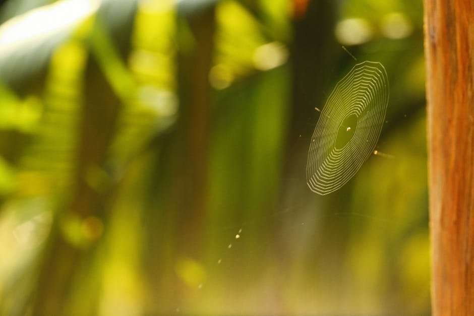 Top 10 Desi Web Series You Can't Miss in [Year]