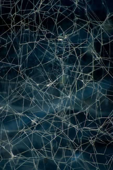 Behind the Scenes of Your Favorite Chinese Web Series Movies