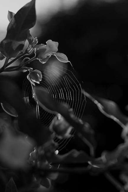 Attack on Titan Final Season Part 3: Review and Predictions