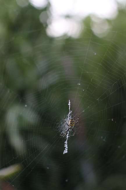 Romantic Tamil Web Series: Stories That Will Warm Your Heart