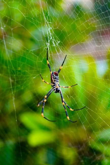 Unveiling the Most Sensual Indian Web Series of 2024