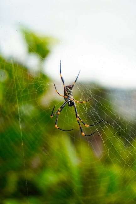 Free Web Series Online: Genre-Specific Recommendations