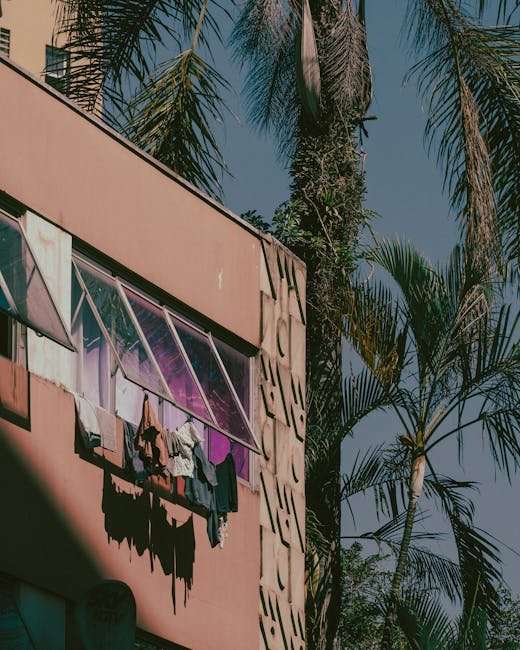 Sci-Fi Web Series to Watch After [Popular Sci-Fi Movie/Show] - Hollywood Edition