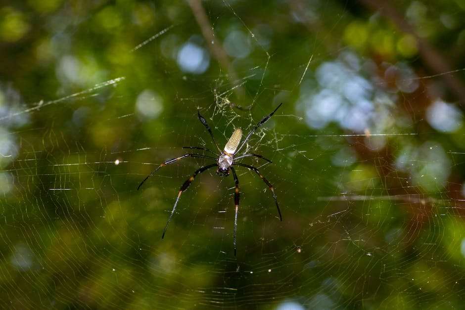 Demon Slayer Swordsmith Village Arc: Episode Guide and Analysis