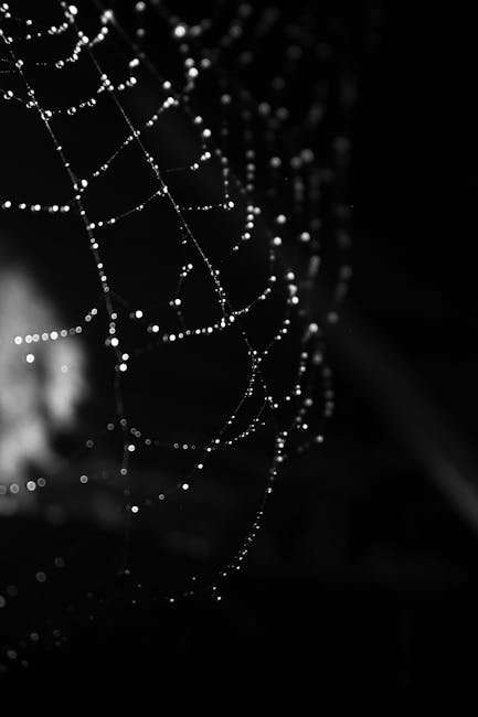 Best Hot Indian Web Series: Romance, Drama & Thrills