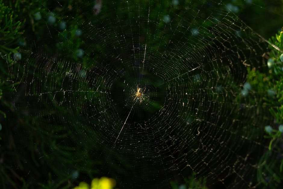 How to Watch Japanese Web Series Online: A Step-by-Step Guide