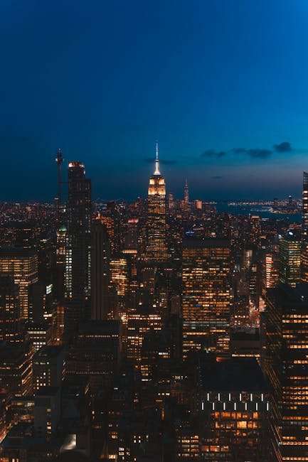 OTT Movie Reviews: What to Watch and What to Skip