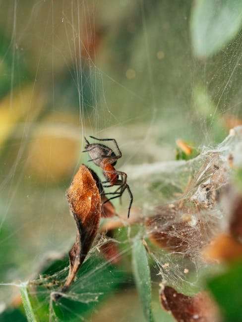 Download Korean Web Series in Hindi Dubbed: Offline Viewing Options