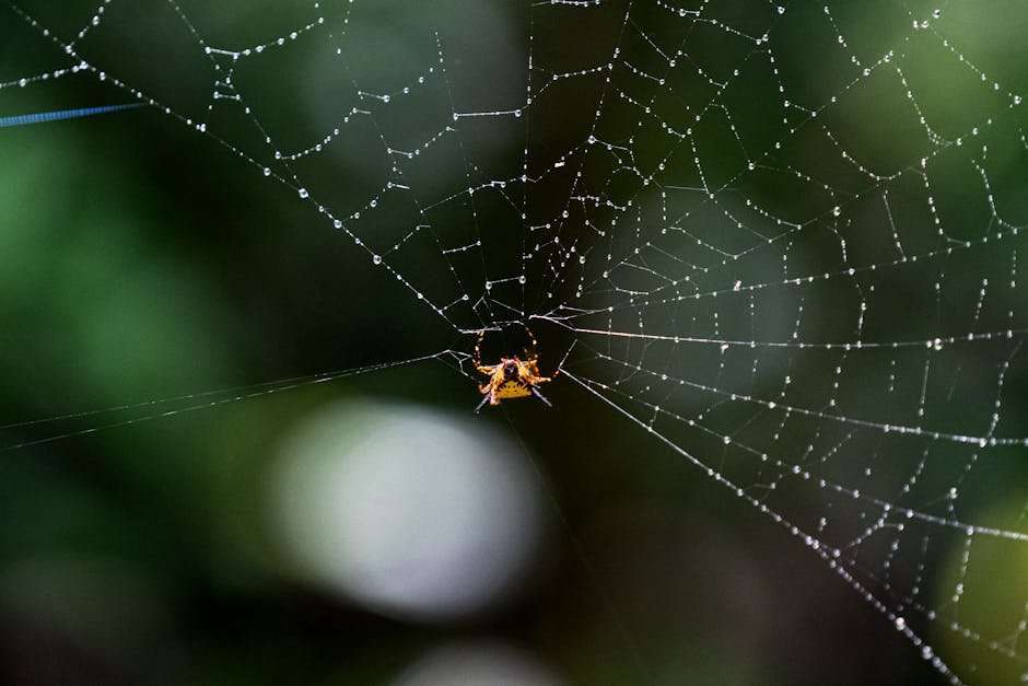 The Ultimate Hollywood Thriller Web Series Guide: What to Watch Now