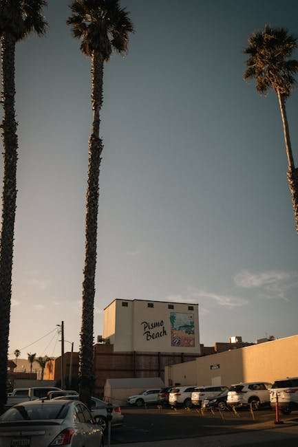 Critically Acclaimed Sci-Fi Web Series: Hollywood's Finest Creations