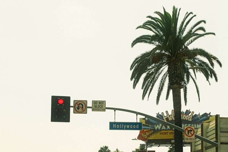 Hidden Gem OTT Series You Need to Discover