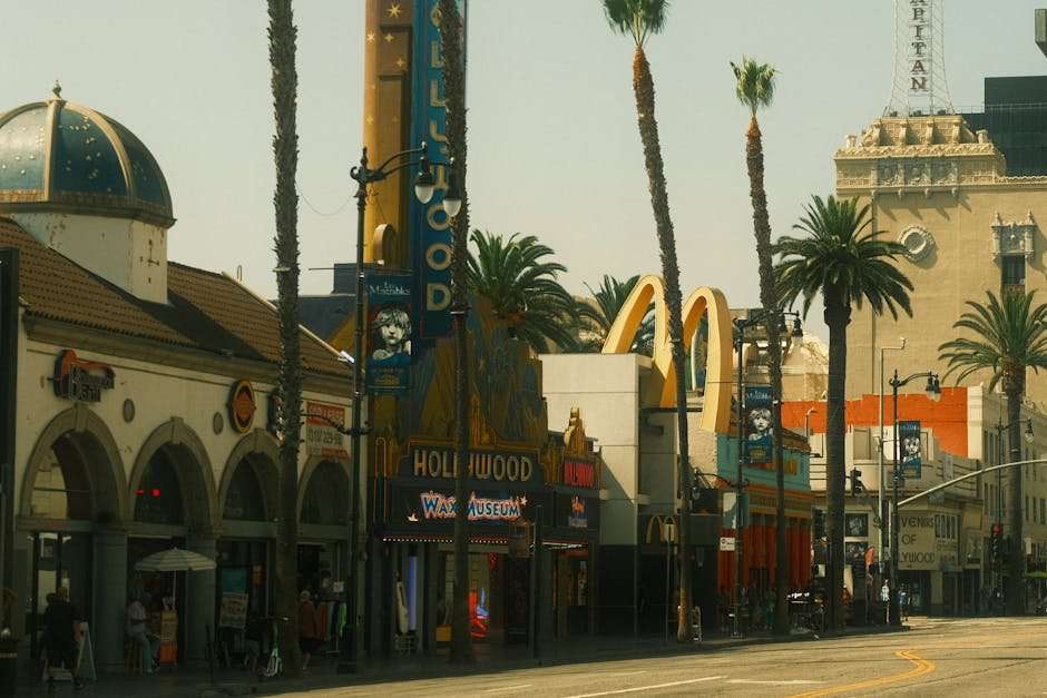 Web Series vs. TV Shows: What's the Difference and Which is Better?