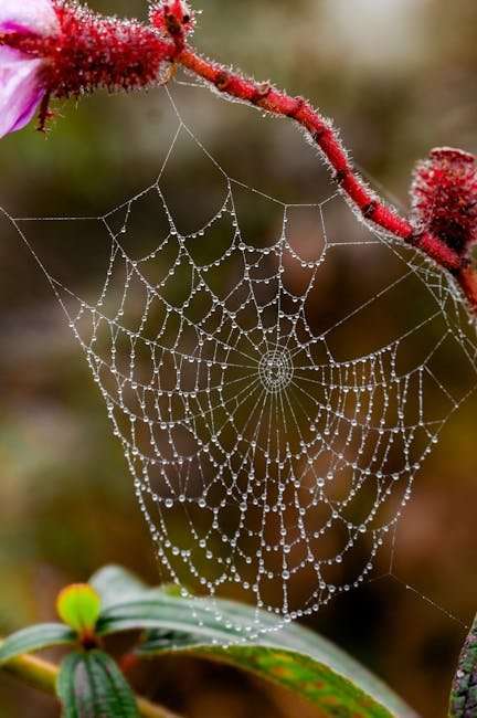 Malayalam Web Series: A Fresh Perspective on Storytelling