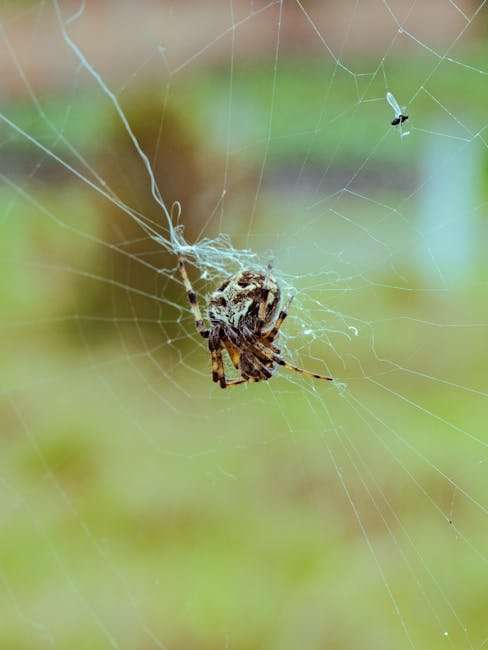 Where to Watch Malayalam Web Series Online: Streaming Platforms