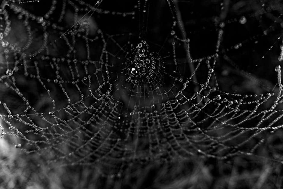 Korean Web Series Download App: Watch on the Go