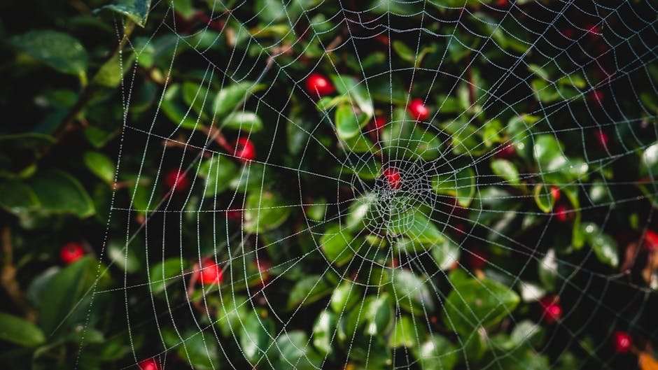 The Rise of Indian Web Series: Why They're So Popular