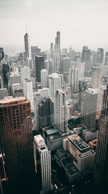 New Hollywood Web Series Dubbed in Hindi: Release Dates & More