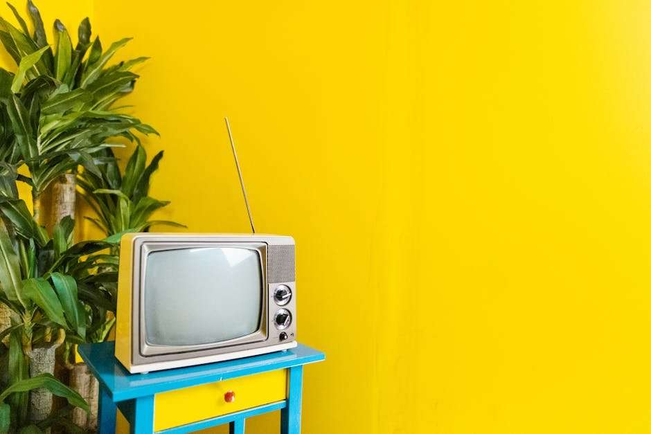 Japanese Web Series: From Romance to Thriller