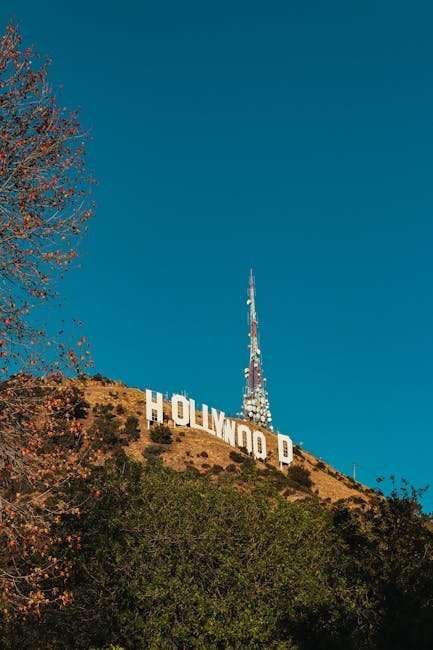 Top Hindi Web Series of 2024: Must-Watch Shows