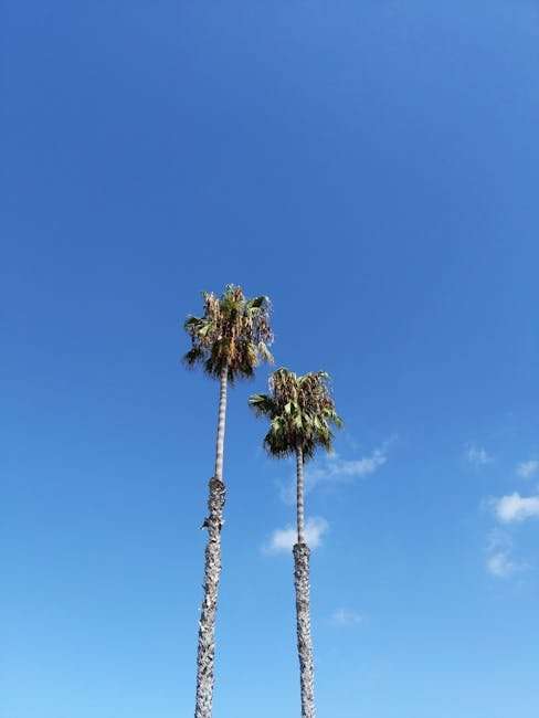 Korean Web Series Hindi Dubbed with English Subtitles: Enhanced Viewing