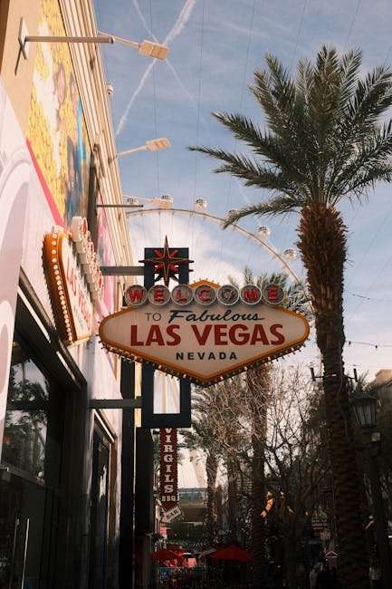 The Ultimate Guide to Hollywood's Best Sci-Fi Web Series