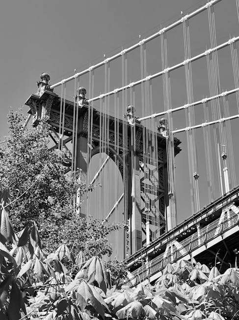 Japanese Web Series Streaming Guide: Find Your Next Obsession