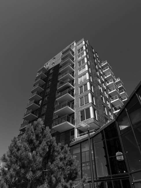 Best Hollywood Sci-Fi Web Series for Beginners: A Gentle Introduction