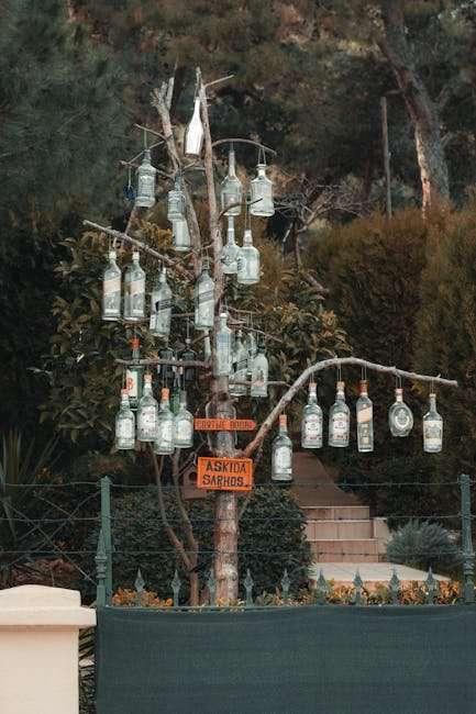 Hollywood Web Series: The Ultimate Guide to Streaming Success