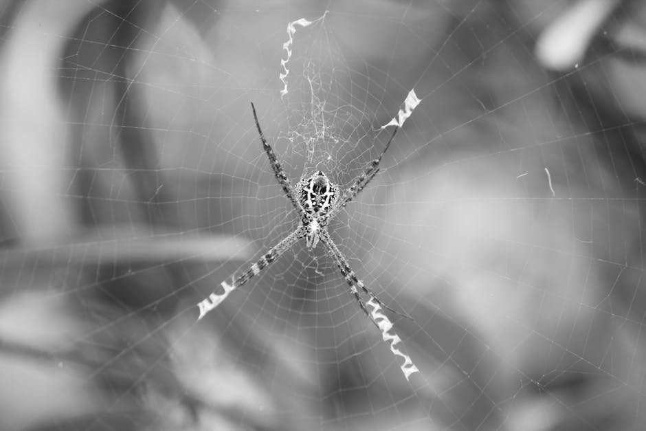 Hidden Gems: Underrated TV Shows on Popular OTT Platforms