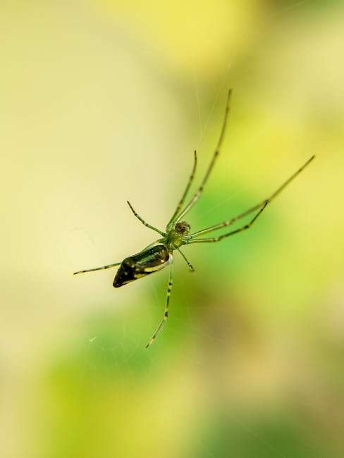 The Best Web Series for Binge-Watching This Weekend